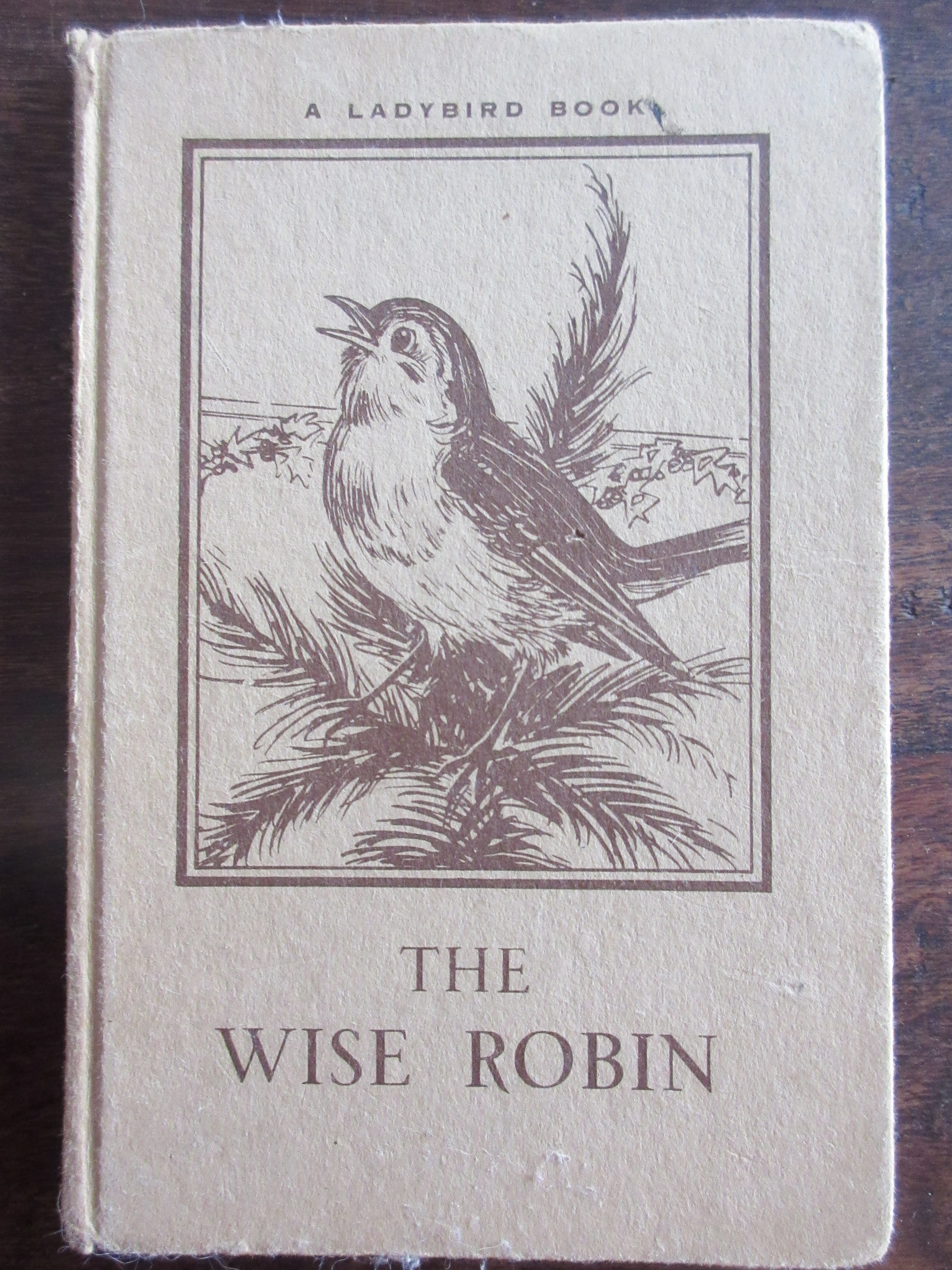 wise-robin
